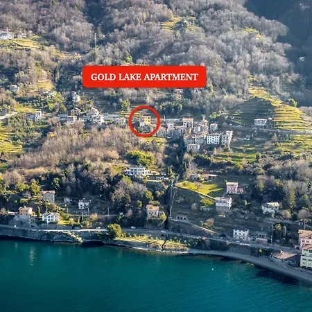 Gold By Design * 벨라노